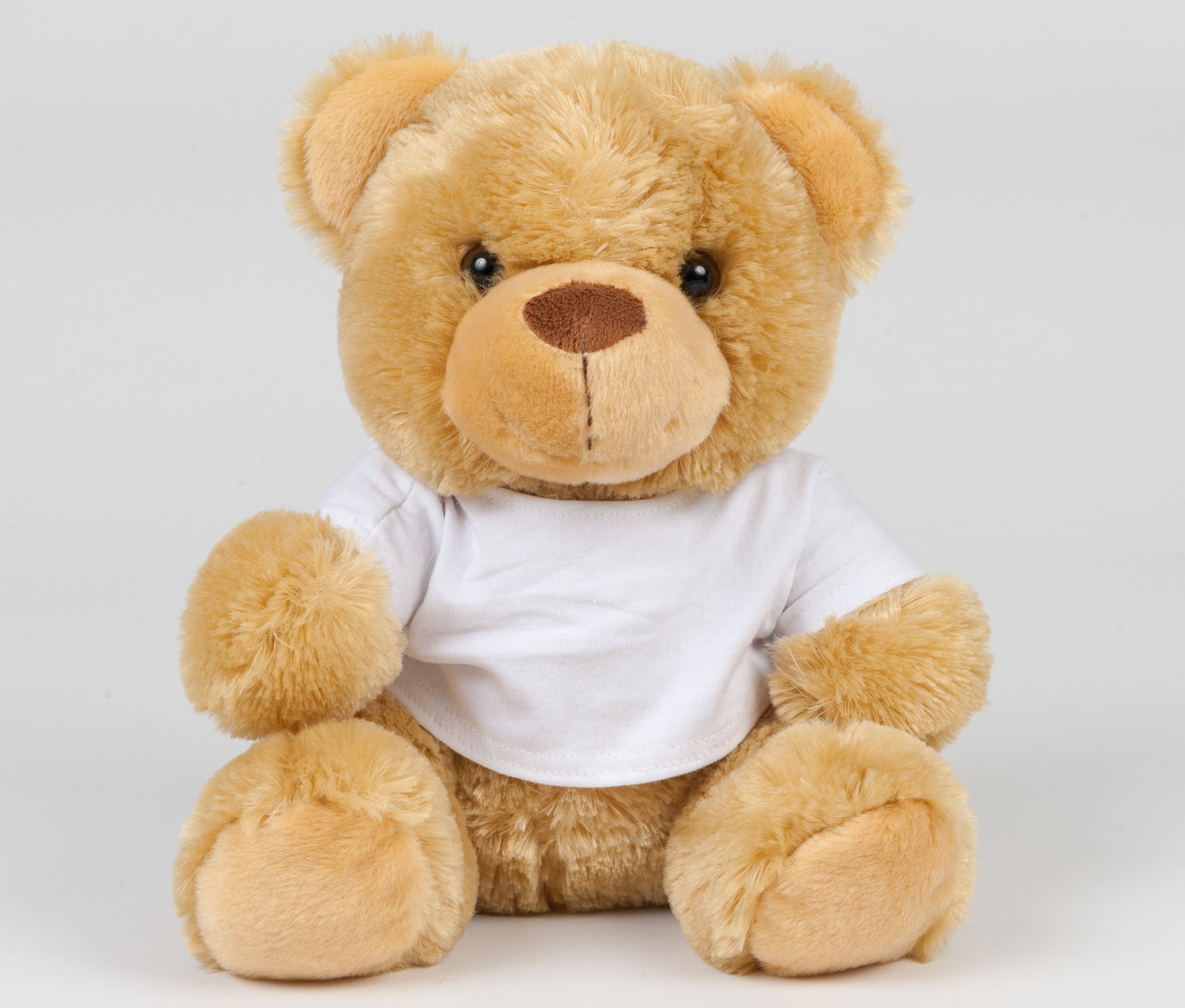 BEAR IN A T SHIRT
