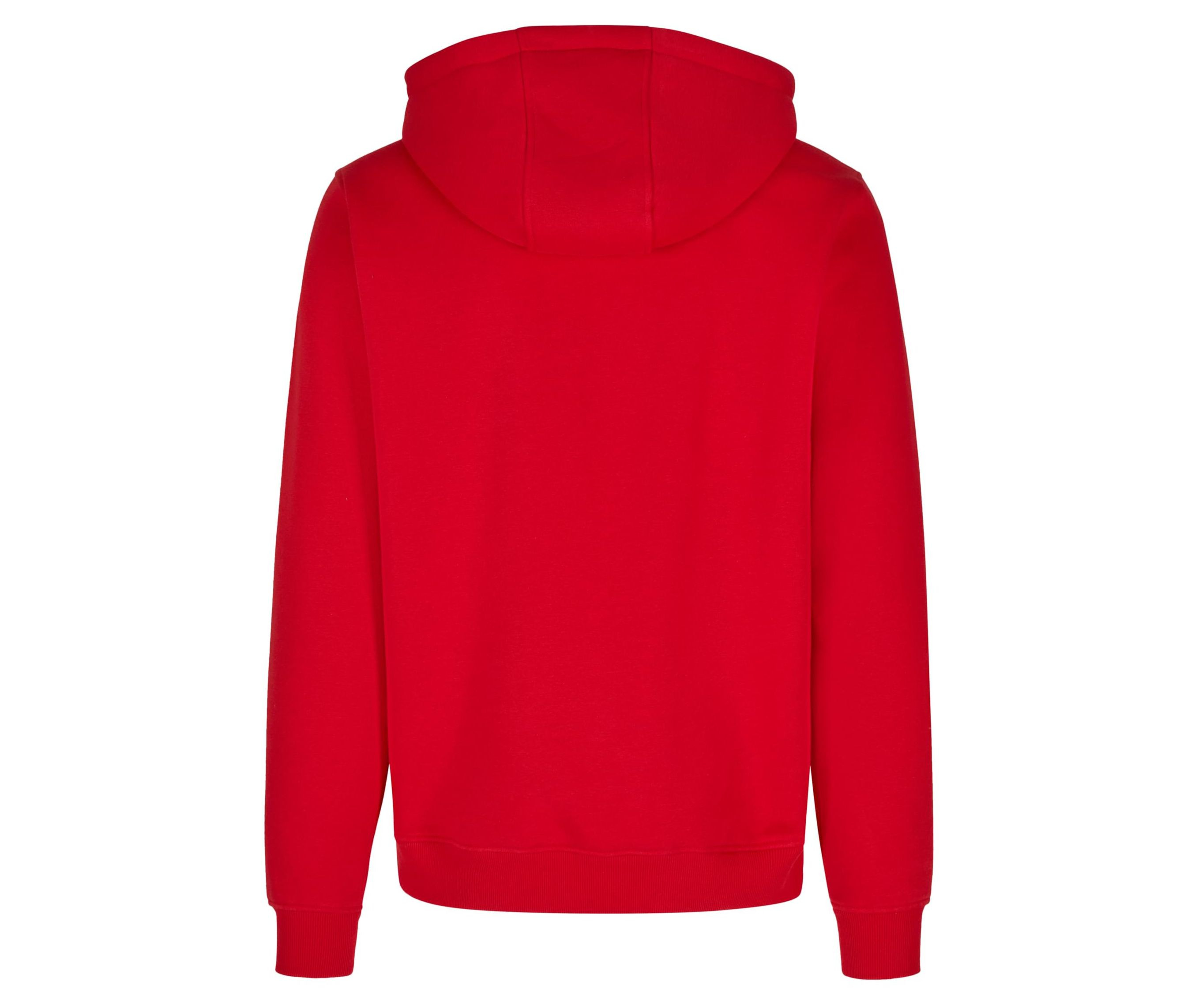 BASIC HOODY