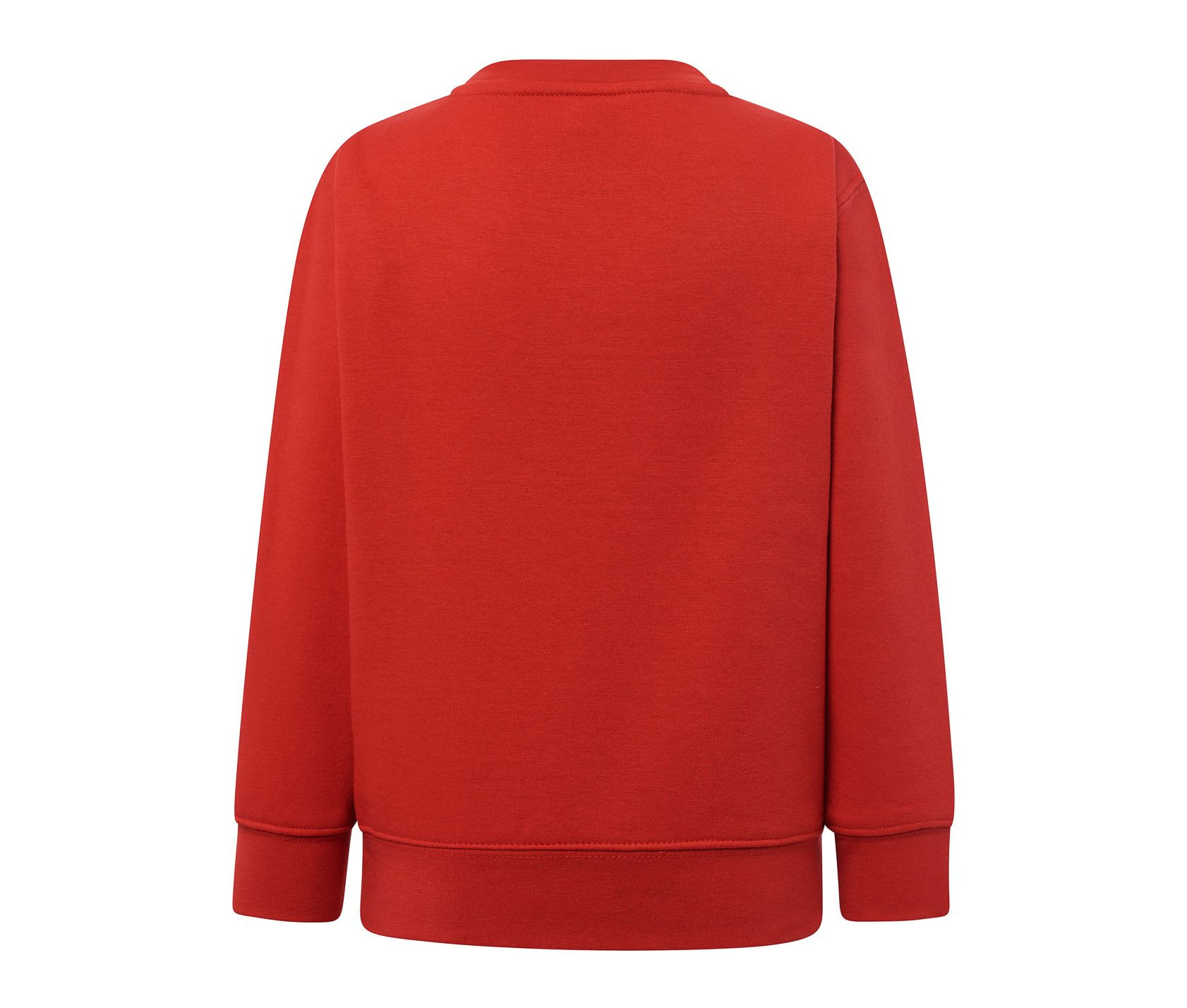 SWEATSHIRT KID