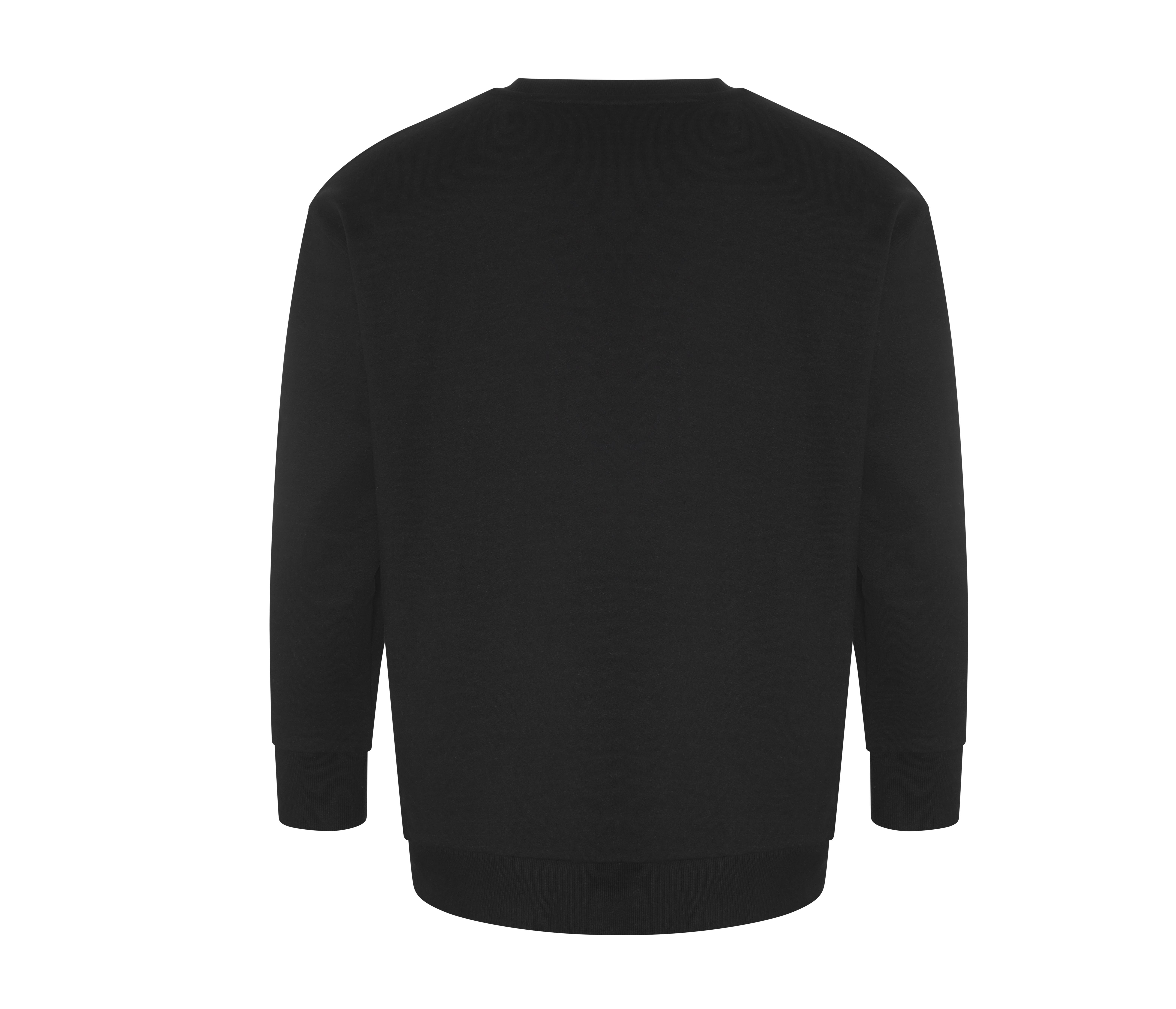 CRATER RECYCLED SWEATSHIRT
